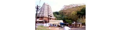 102. திருமாலிருஞ்சோலை (கள்ளழகர் கோயில்)